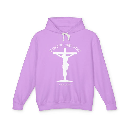 "Don't Forget Why", Faith-Inspired Lightweight Hoodie - Sheep Of Jesus