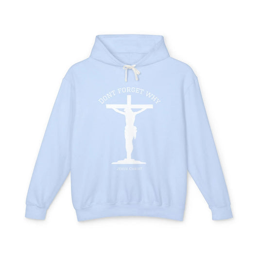 "Don't Forget Why", Faith-Inspired Lightweight Hoodie - Sheep Of Jesus